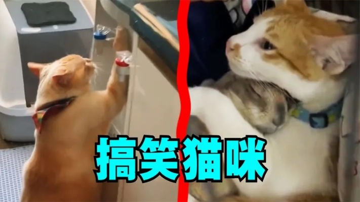 令人智熄的操作表情包：让你笑得停不下来的搞怪表情集锦