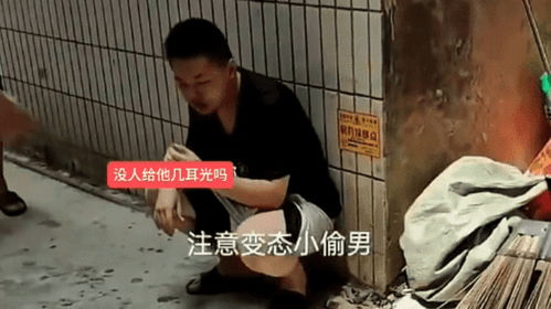 管家婆正版资料大全王中王|探索新兴趋势与精彩故事_解密版.9.295