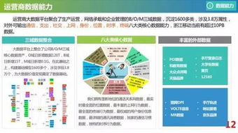 澳门三中三精准网站|全面数据解释落实_Lite.3.686
