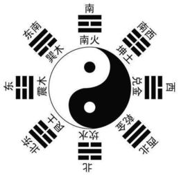 神算子一网中特|神秘法则揭示成功秘籍_探险版SSIP.1.481