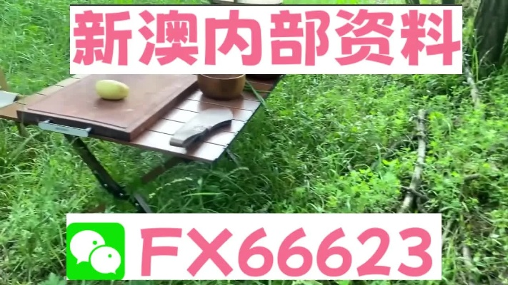 新澳精准内部码资料期期准|专业研究解释落实_极限版ISHOP.8.475