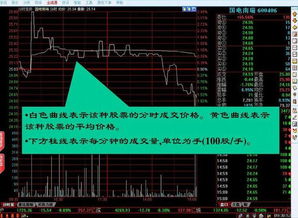 2024澳门精准正版免费|解析关键问题的重要性与实施策略_精简版.9.954