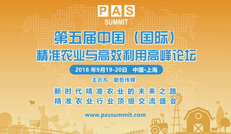 2024新奥门资料免费精准051|探索生活中的智慧与灵感_潮流版GM.1.222