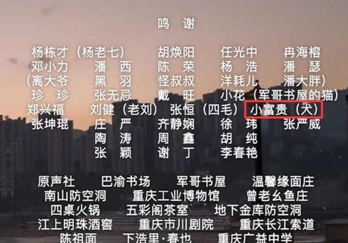 最准一肖100%中一奖|探索未知的奇妙世界_竞速版.7.818