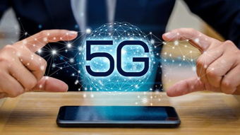 新澳最新最快资料新澳50期|经典案例解释落实_投资款.2.74