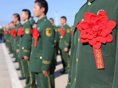 2024澳门精准正版免费|探秘未来科技新趋势_专用款.3.191
