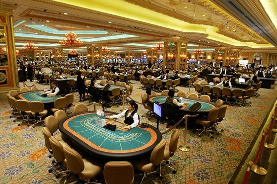 2004资料澳门大全|探索澳门魅力的另一面_VIP0.71