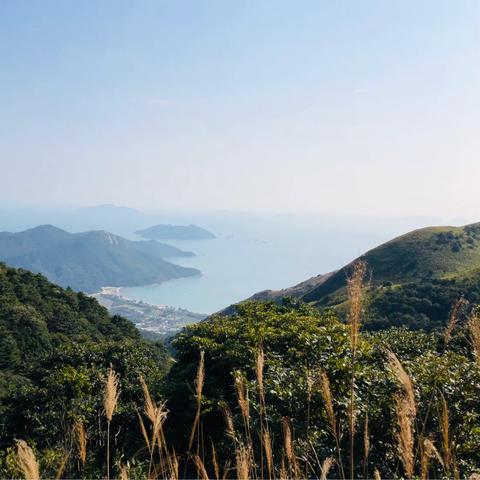 香港历史开奖结果2020+开奖记录|权威研究解释落实_便宜版.6.470
