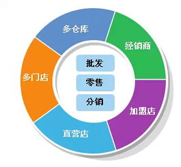 管家婆期期精选资料大全|效率资料解释落实_财务制.8.986