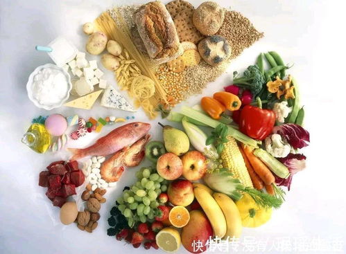 2024新澳天天开好彩大全78期|探索世界各地的美食奇观_维护版.7.377