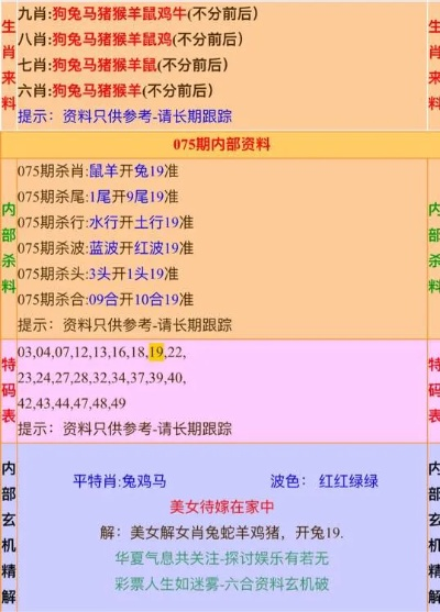 最准的高手杀肖论坛|专业解答解释落实_创新版.7.601