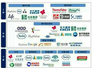 新奥2024精准资料168|探讨国产化对解答的影响_户外版.3.690