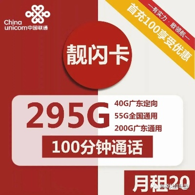 澳门王中王100的资料论坛|专业数据解释落实_X.0.215