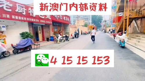 2023澳门天天开好彩正版大全|探索城市发展新机遇_开发制.4.853