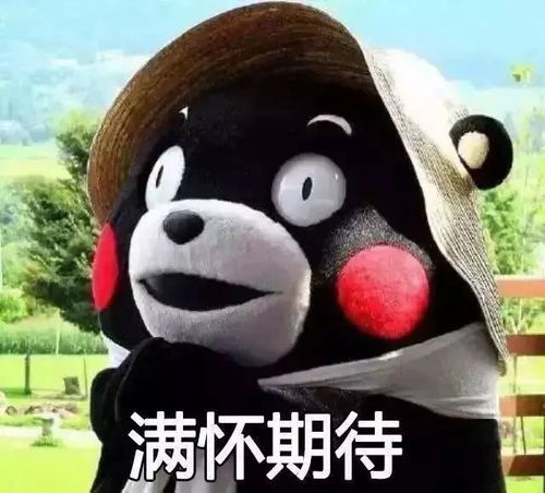 澳门四不像免费资料的特点|现状解答解释落实_按需版.3.229