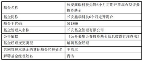 精准四肖三肖必中|探讨决策过程中资料的重要性_定时制.6.848