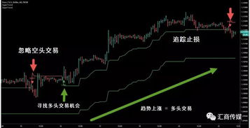 新澳门彩历史开奖结果走势图表|探索信息分享新途径_豪华款.9.34