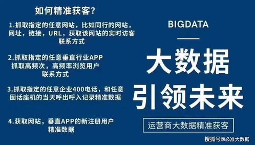 澳门精准免费资料大全聚侠网凤凰|高效解答解释落实_公开款.2.667