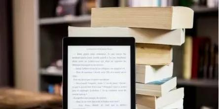 2024新澳精准资料期期到|实证研究解释落实_Kindle.4.265