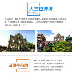 澳门一码一肖一特一中详情|实地解答解释落实_移动版Eleme.2.341