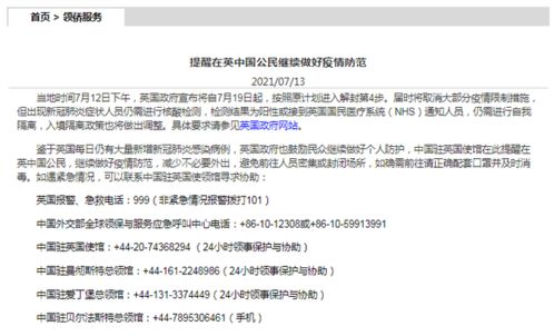 2024年新奥门特正版资料查询|高效解答解释落实_实习版.5.319