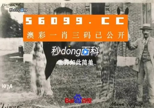 澳门两肖必中特|精选解释解析落实_手机版.4.25