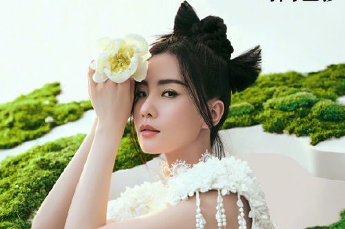 管家婆期期精选资料大全|动态词语解释落实_终点版.4.578