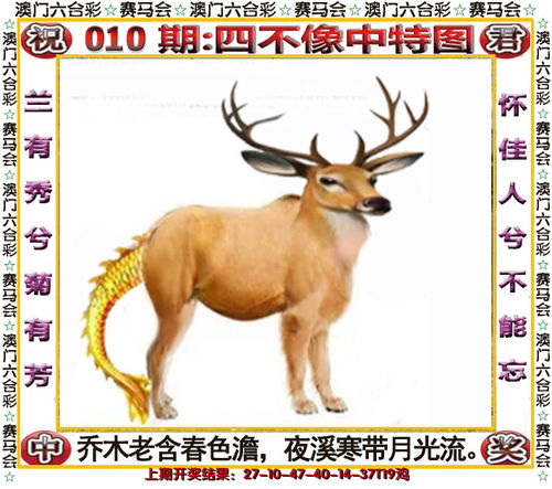 2024今晚澳门开特马四不像|经典解答解释落实_复古款.3.406