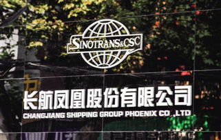 凤凰高手资料论坛最新版|新趋势下的投资攻略与机遇_综合版.6.965