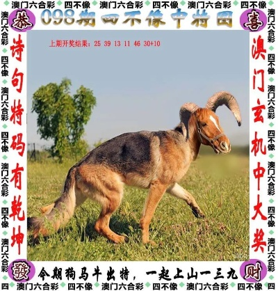 2024新奥正版资料四不象|深入数据解释落实_电影版.6.690