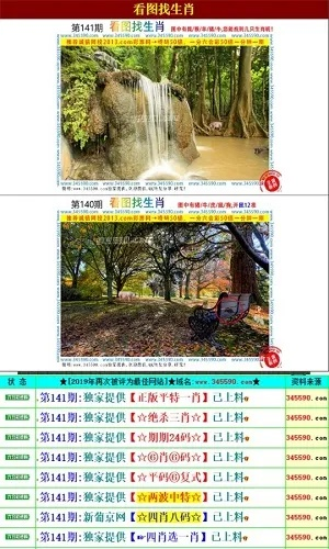 澳门王马王中王资料|探索未知的奇妙旅程_梦幻版Timi.2.543
