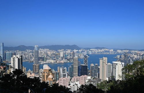 2024新澳正版免费资料的特点|探索城市新魅力让旅行更精彩_启蒙版.5.149