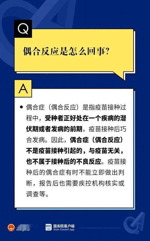 2024新奥门正版资料查询|系统解答解释落实_轻盈版.1.555