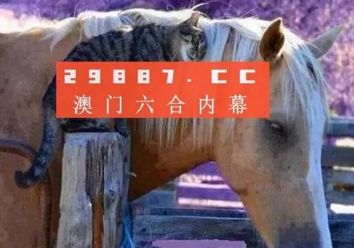 4949开奖免费资料澳门|揭秘财富增长的秘密策略_NE版.4.95