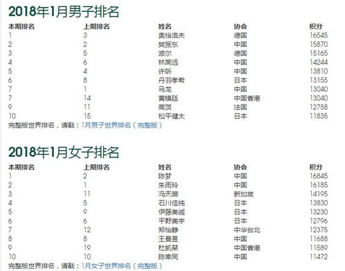2004奥门最新资料|详细解答解释落实_LT.5.282