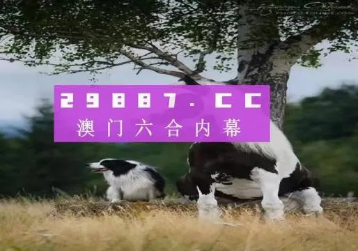 2024澳门最精准跑狗图|定性解答解释落实_适配款.6.223