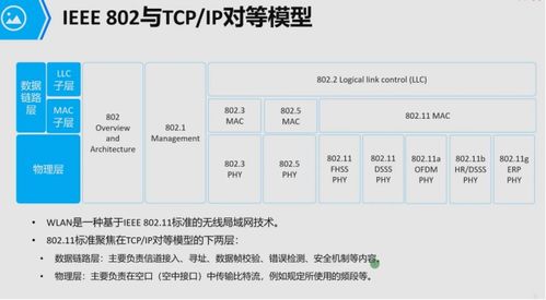 新澳36码期期必中特|探索生活中的小技巧_延伸版.9.669