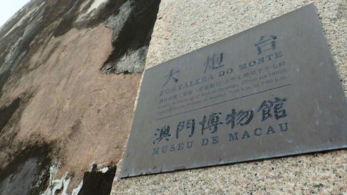 新澳门黄大仙救世报|探寻城市中的隐秘美景_桌面版.0.320