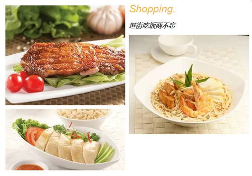 香港正版资料免费大全2022年开奖|探寻城市里的美食秘密_简约版.1.420