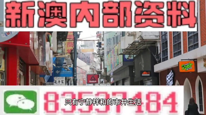 2024新奥精准正版免费资料大全|探索城市发展新机遇_FHD品.7.643