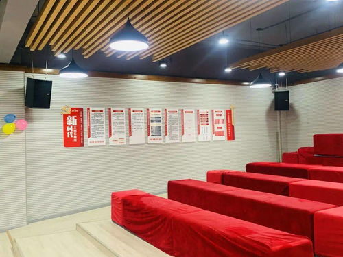 澳门王中王六码新澳门|专业数据解释落实_挑战款.8.369