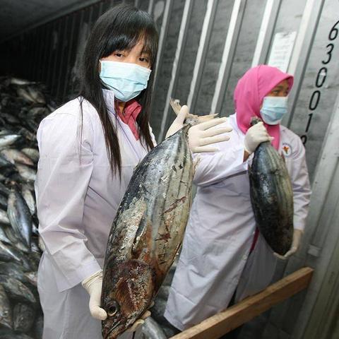 2024澳门今晚活动|多元化的解读与应用策略_完美款.0.541