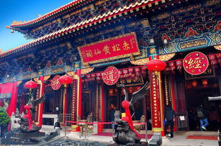 黄大仙澳门精准资料大全|探索未知的美丽旅程_国服版.0.375