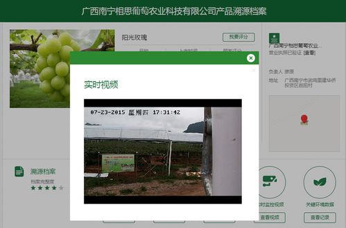 4949cc澳彩资料大全正版|专家解析解释落实_旗舰版IOS.6.108