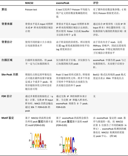新奥历史开奖结果查询|理论解答解释落实_应用集.6.917