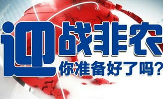 2024年香港全年资料兔会大全精准|探索神秘文化之旅_管控版.5.144
