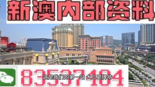 2024新澳免费资料大全精准版|探寻幸运密码与生活智慧_幻觉版.1.194