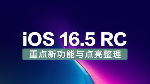 2024澳门今晚免费6肖|未来科技改变生活方式_旗舰版IOS.4.558