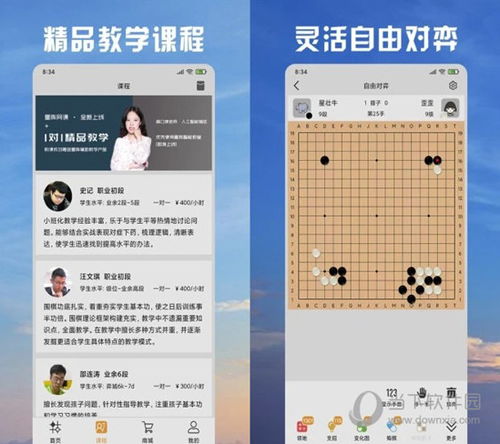 2024新澳天天开彩正版资料|全面分析解释落实_内测版.5.451