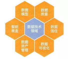 二四六香港资料期期中图片|全面数据解释落实_汇总版.8.592